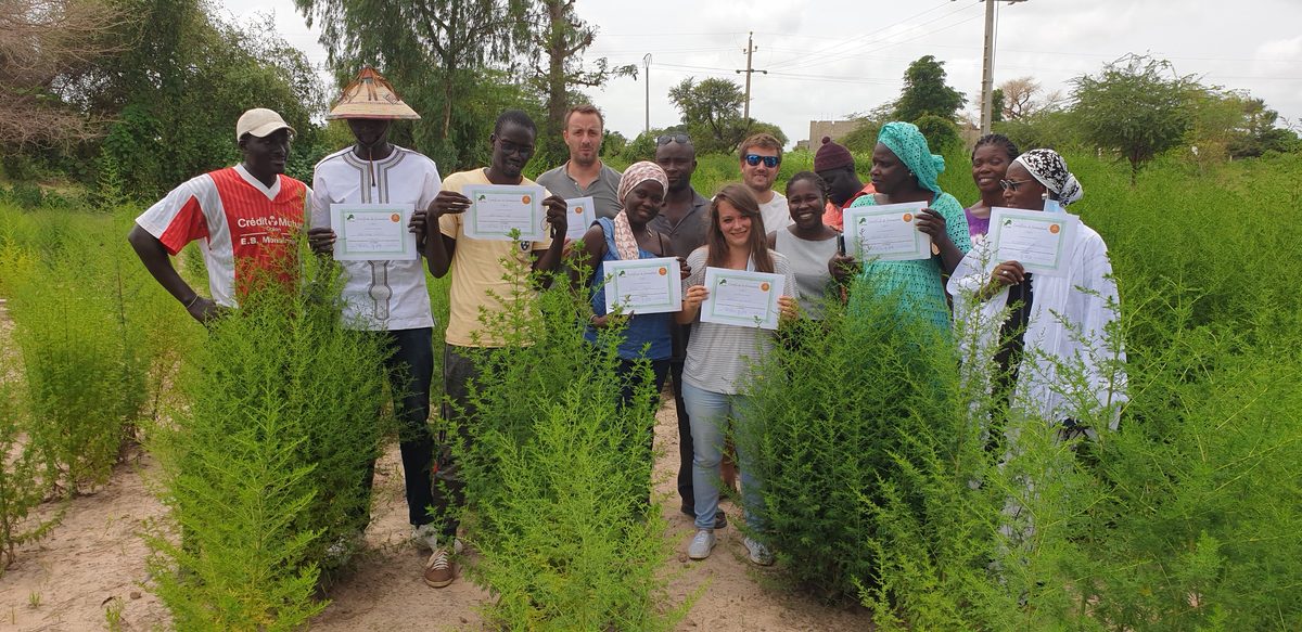 Remise de certificats